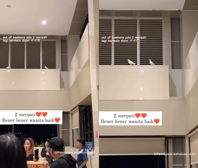 Sepasang Merpati Hadir di Rumah Duka Melitha Sidabutar