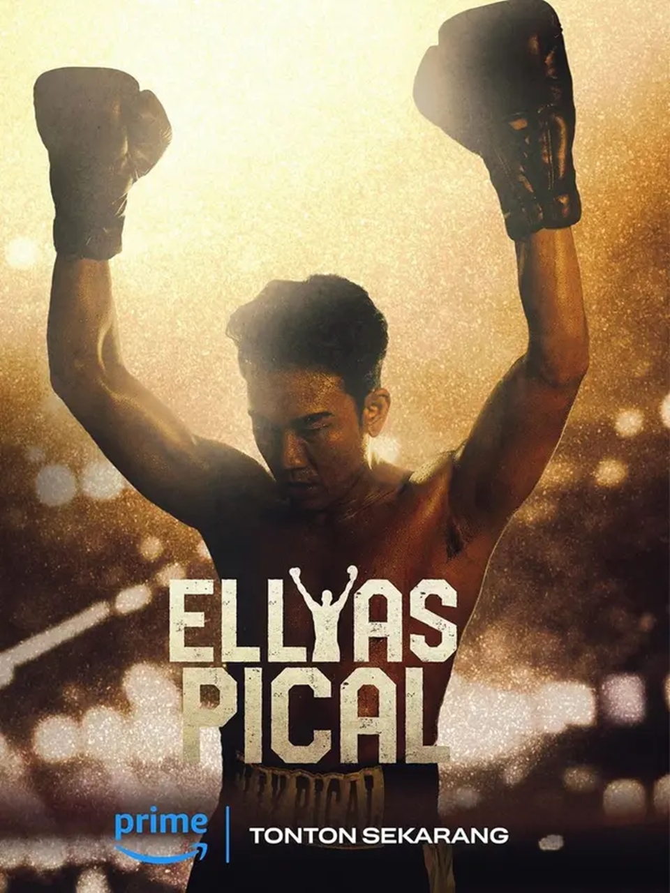 Denny Sumargo di Series Ellyas Pical