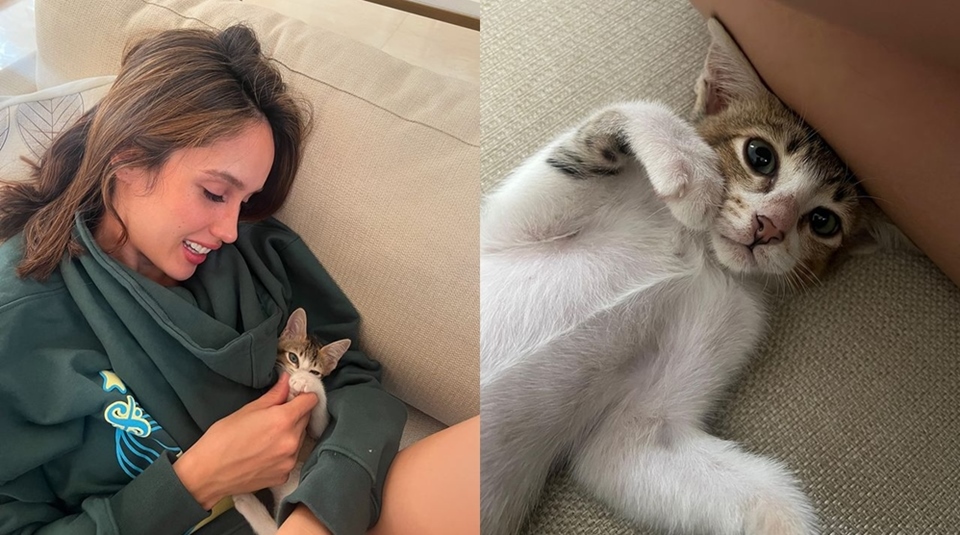 Cinta Laura & Kucing Kesayangan [Instagram]