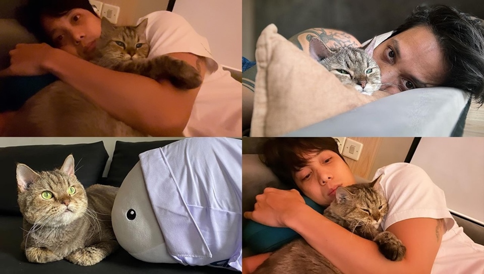 Dikta & Kucing Kesayangan [Instagram]