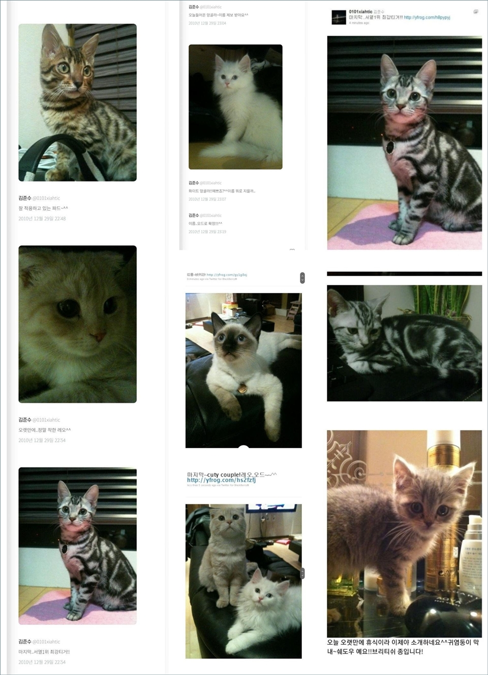 Kim Junsu Kehilangan Kucing [pann]