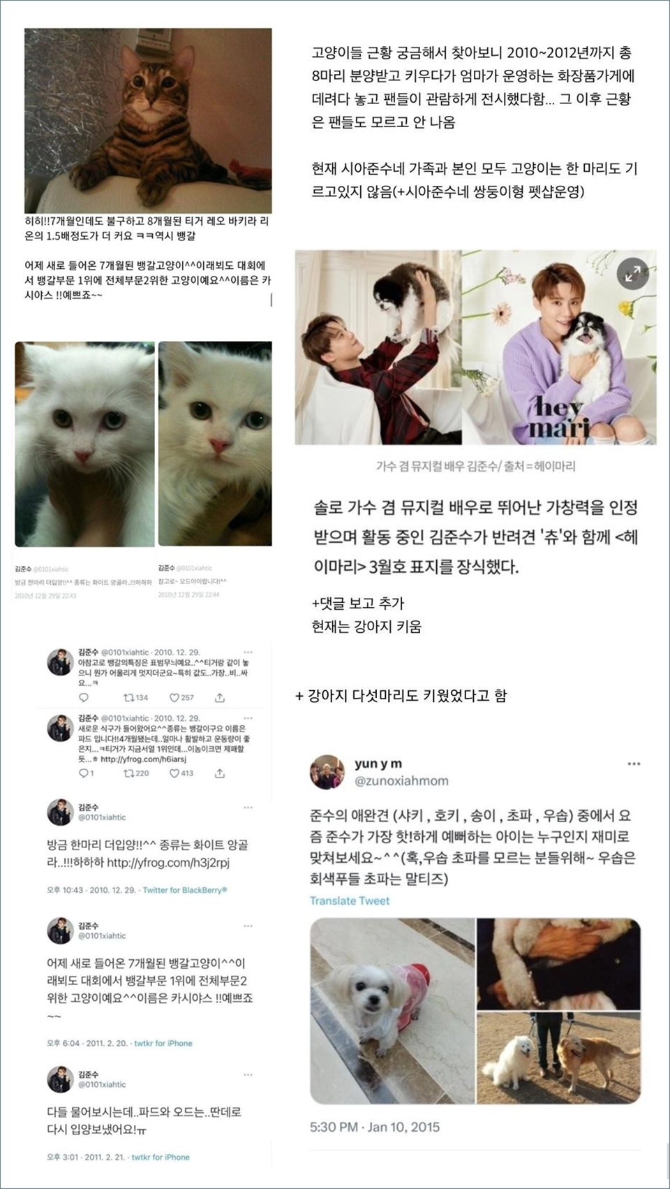 Kim Junsu Kehilangan Kucing [pann]