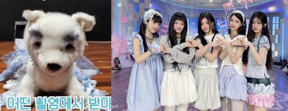 Boneka Sunghoon ENHYPEN Didandani Seperti ILLIT