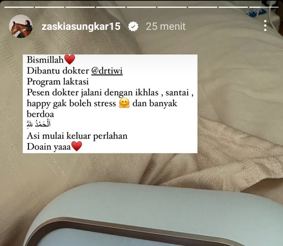 Zaskia Sungkar Jalani Program Laktasi Padahal Tidak Hamil Atau Baru Melahirkan [Instagram]