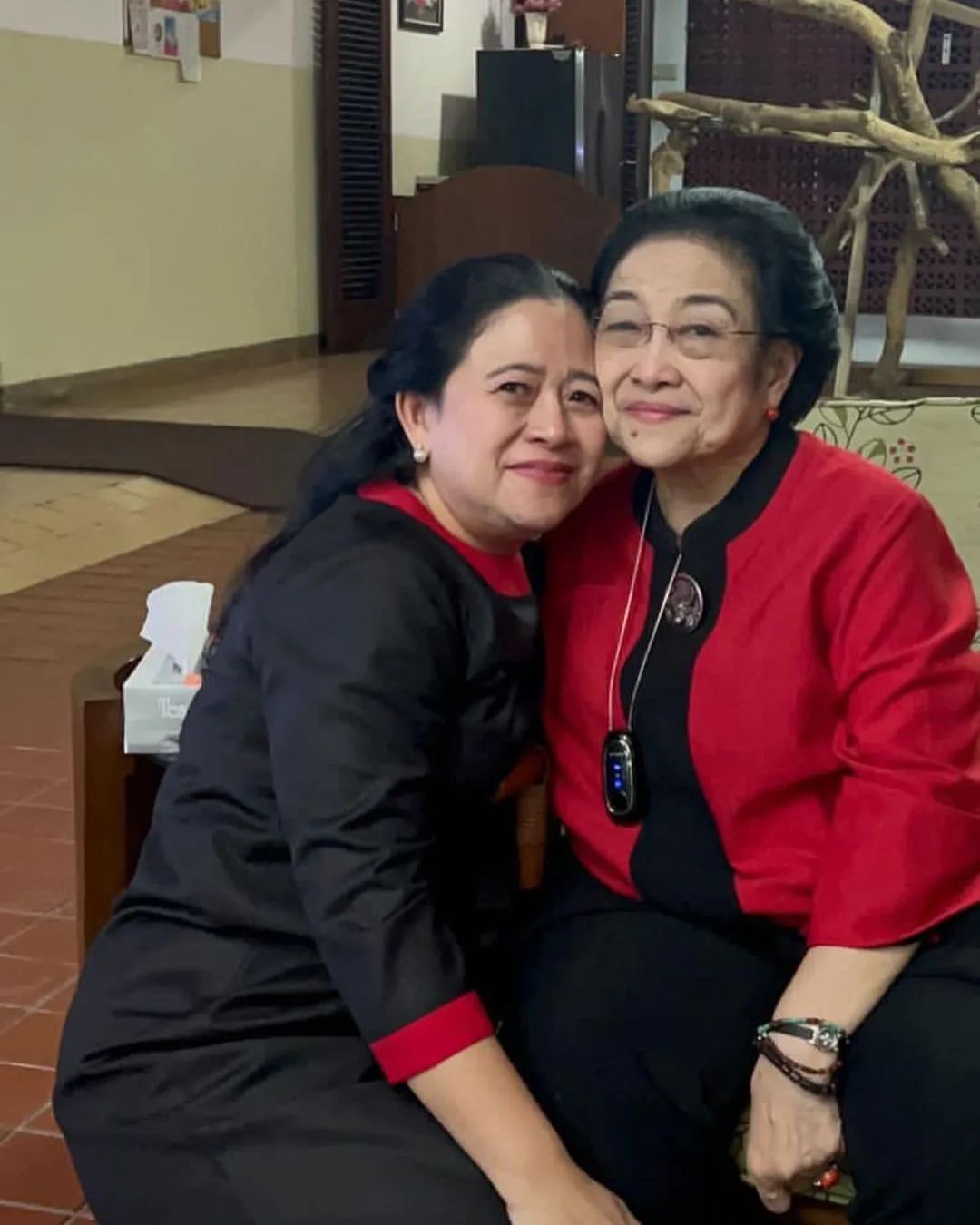 Megawati Soekarnoputri bersama Puan Maharani Instagram