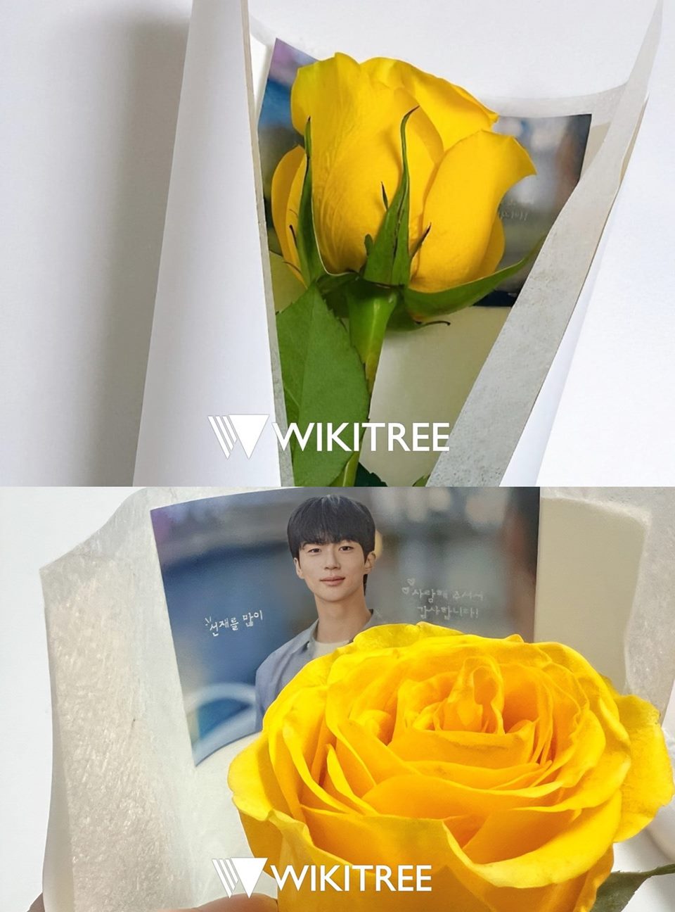 Hadiah Byeon Woo Seok untuk Wartawan